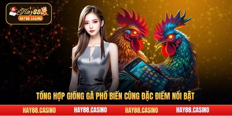 Tổng hợp giống gà phổ biến cùng đặc điểm nổi bật Hay88