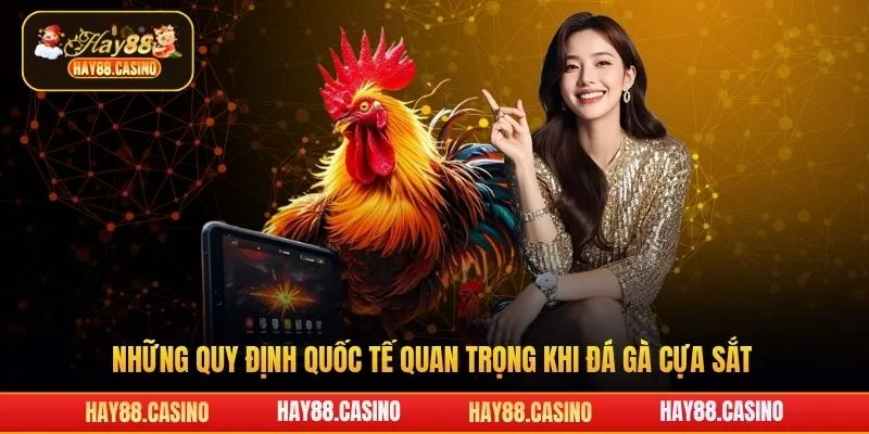 Những quy định quốc tế quan trọng khi đá gà cựa sắt