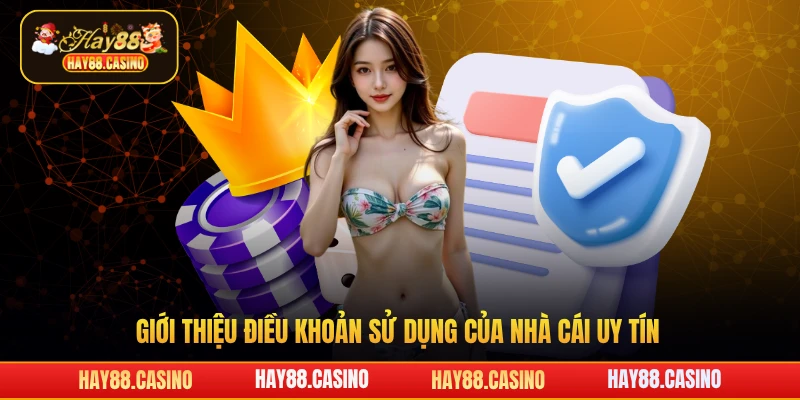 Giới thiệu điều khoản sử dụng của nhà cái uy tín Hay88